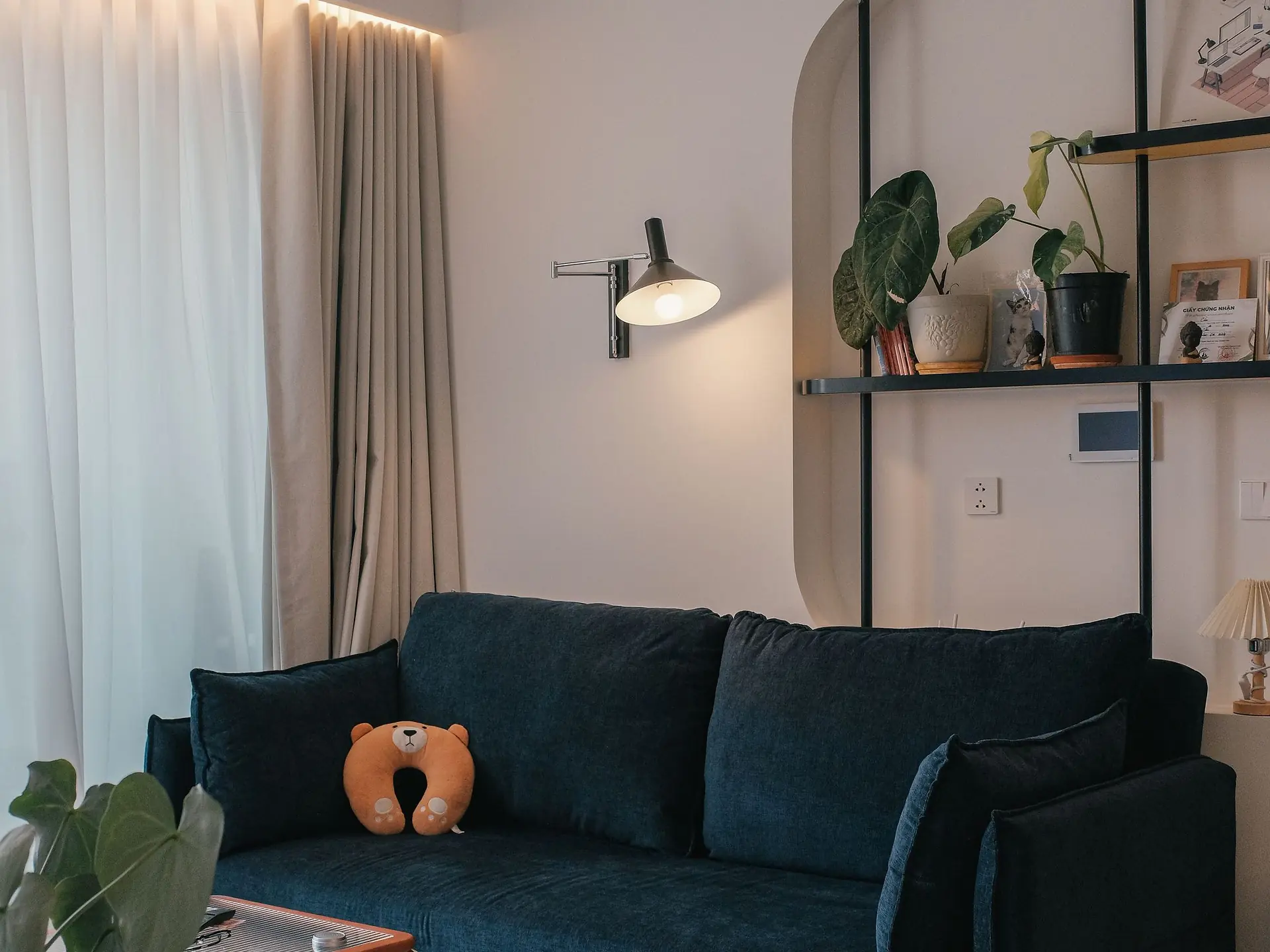 Navy sofa with cushions in a modern living room
